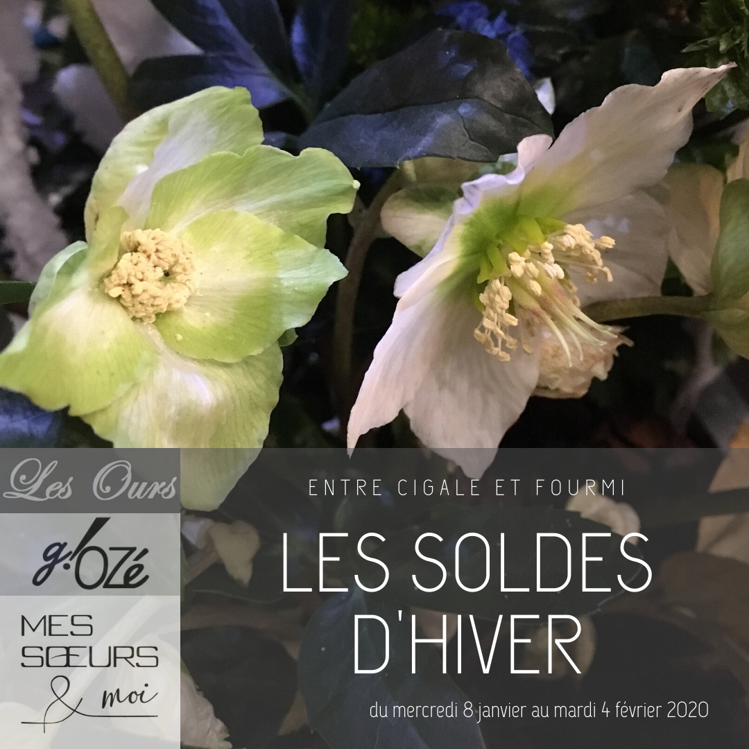 soldes-AH-2019-entrecigaleetfourmi
