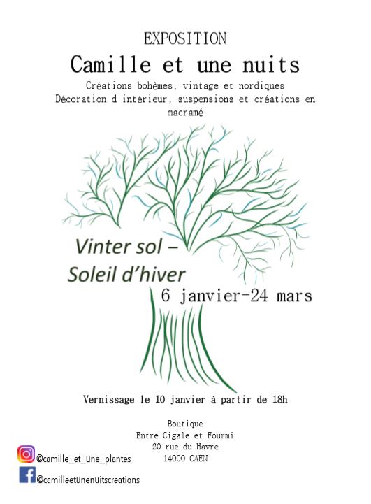 vinter-sol-camilleestunenuits